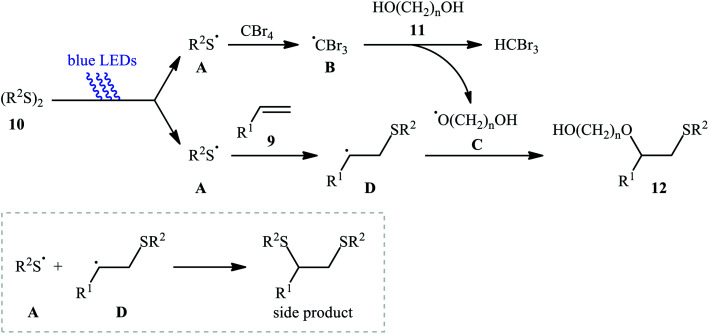 Scheme 4