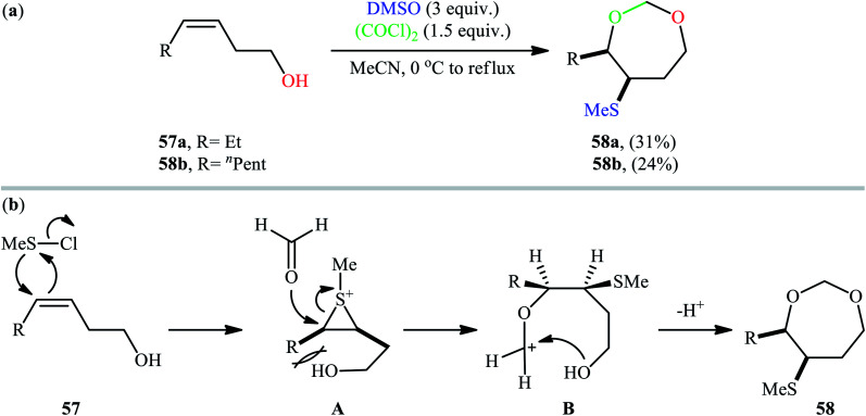 Scheme 19