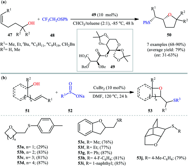 Scheme 16