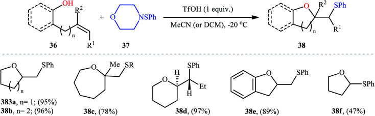 Scheme 13