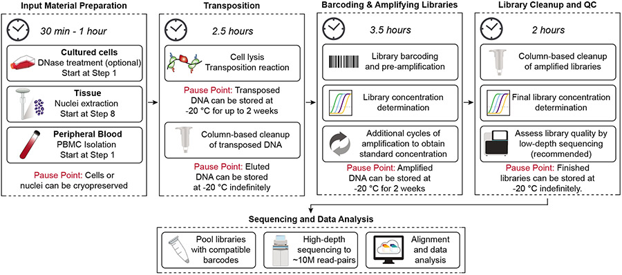 Figure 2: