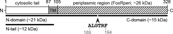 FIGURE 1.