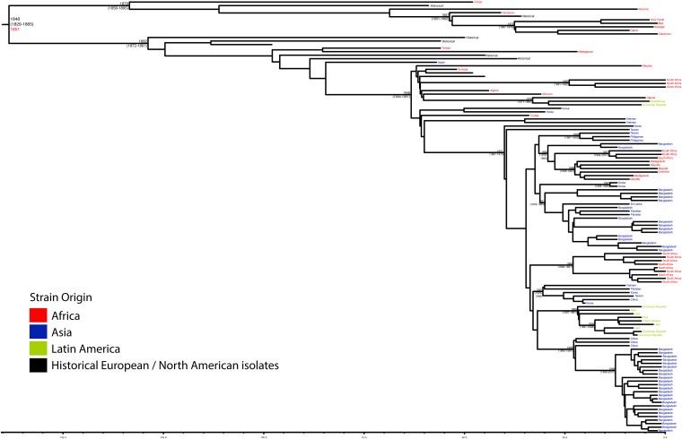 Figure 1—figure supplement 6.