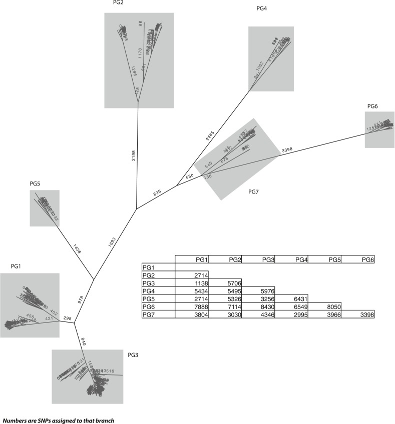 Figure 1—figure supplement 2.