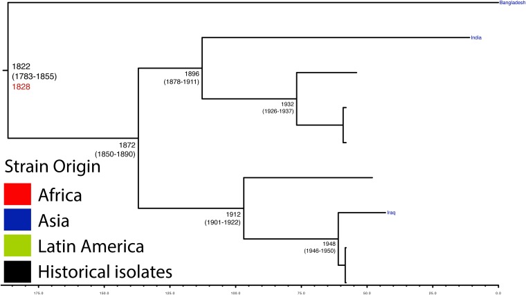 Figure 1—figure supplement 7.