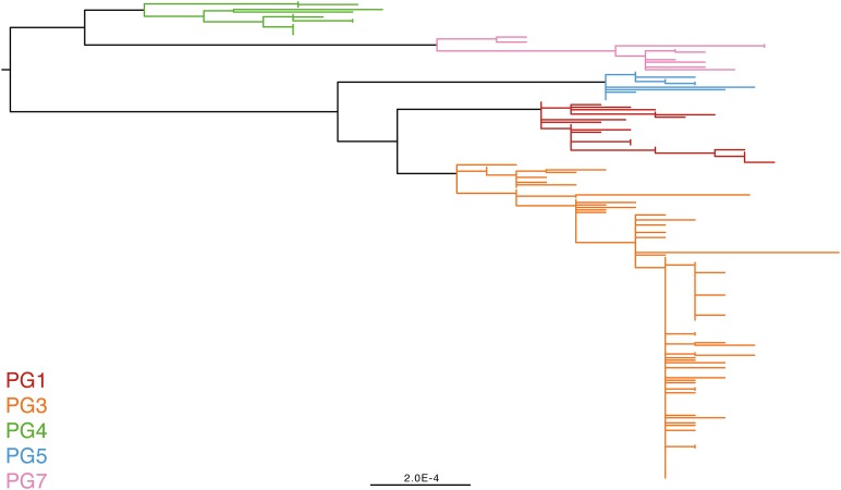 Figure 2—figure supplement 2.