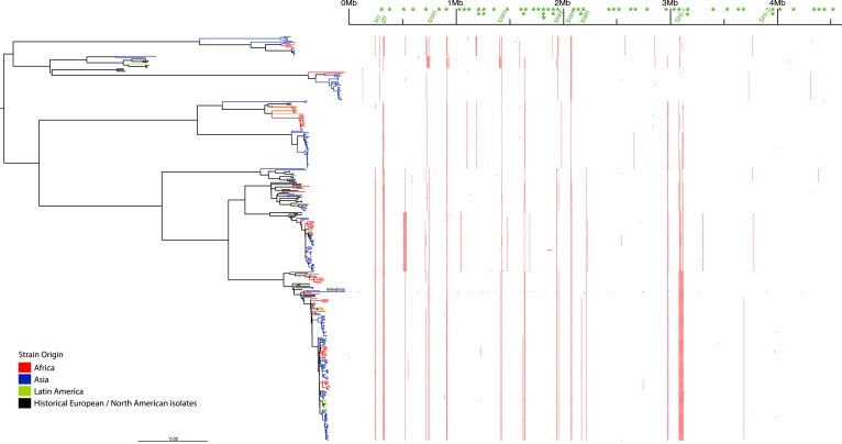 Figure 1—figure supplement 1.