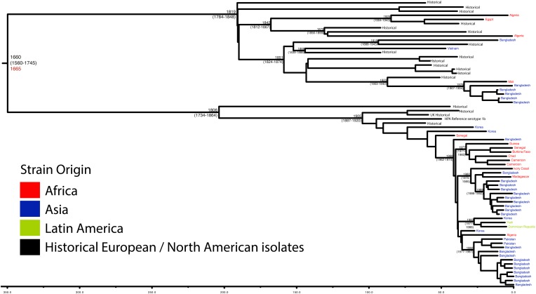 Figure 1—figure supplement 4.