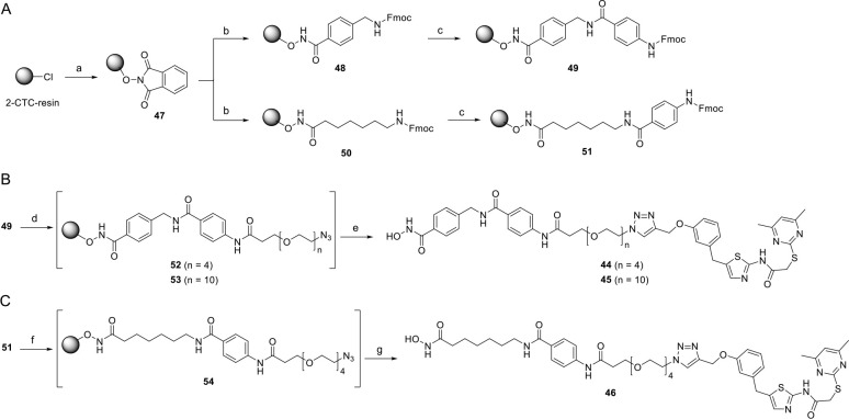 Scheme 3