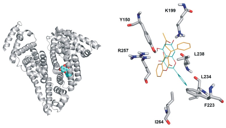 Figure 7