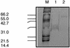 FIG. 7.