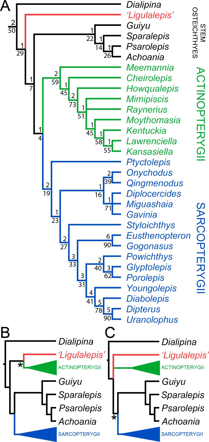 Figure 10.