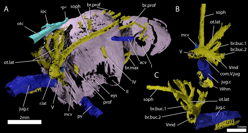 Figure 6.