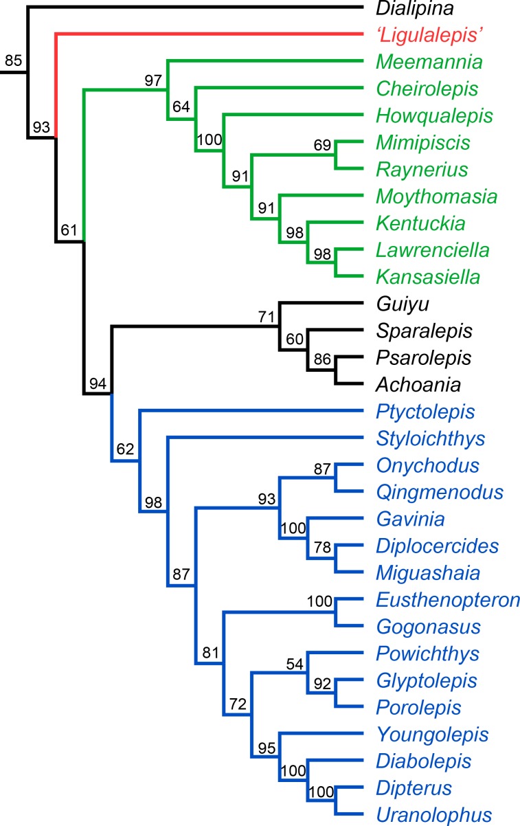 Figure 11.