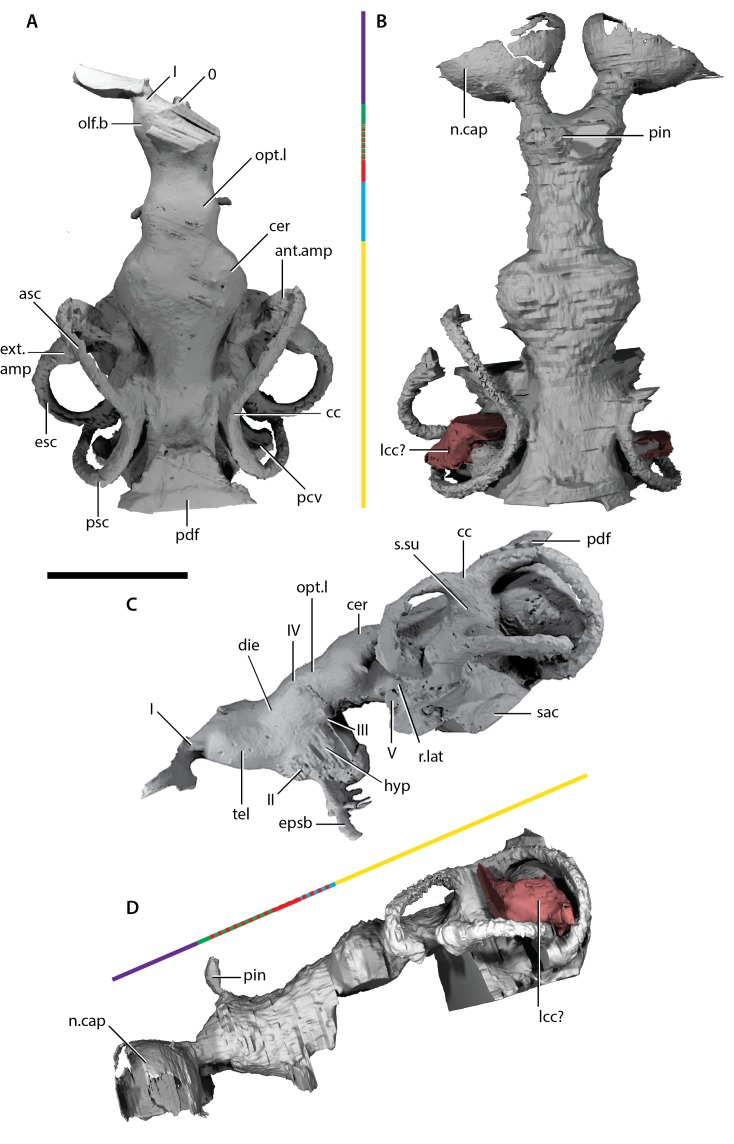 Figure 7.