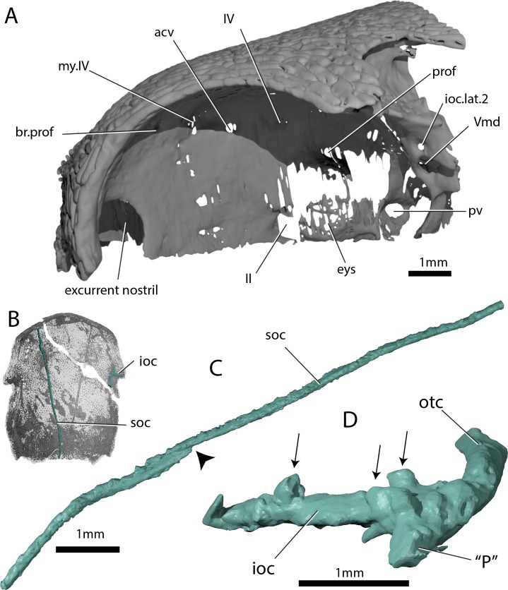 Figure 3.