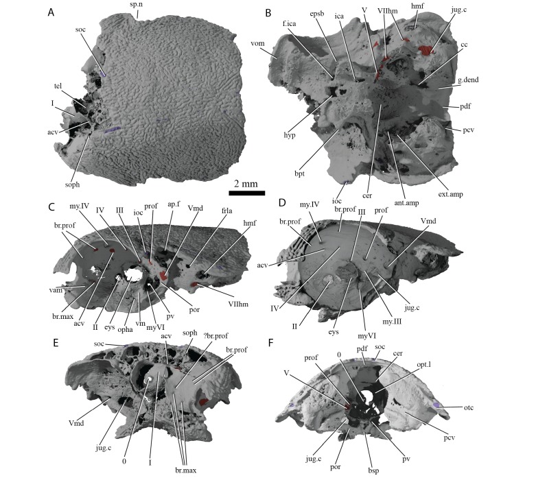 Figure 4.