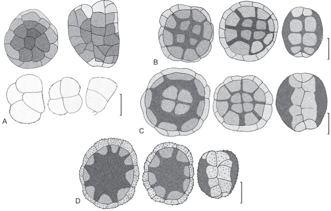 Fig. 17.