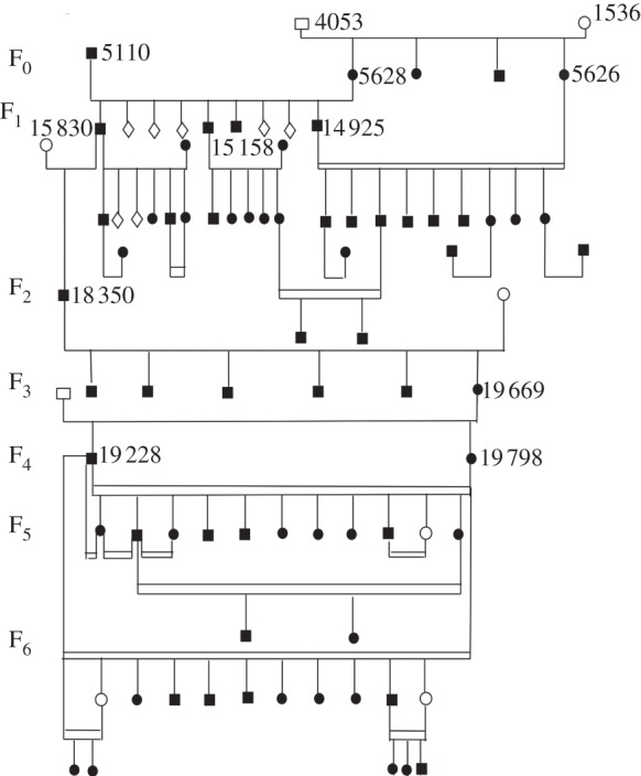 Figure 6.