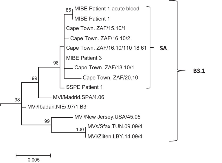 FIG 1