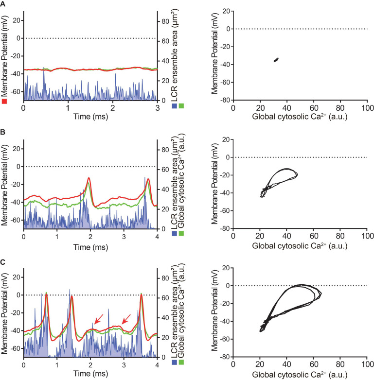 FIGURE 4