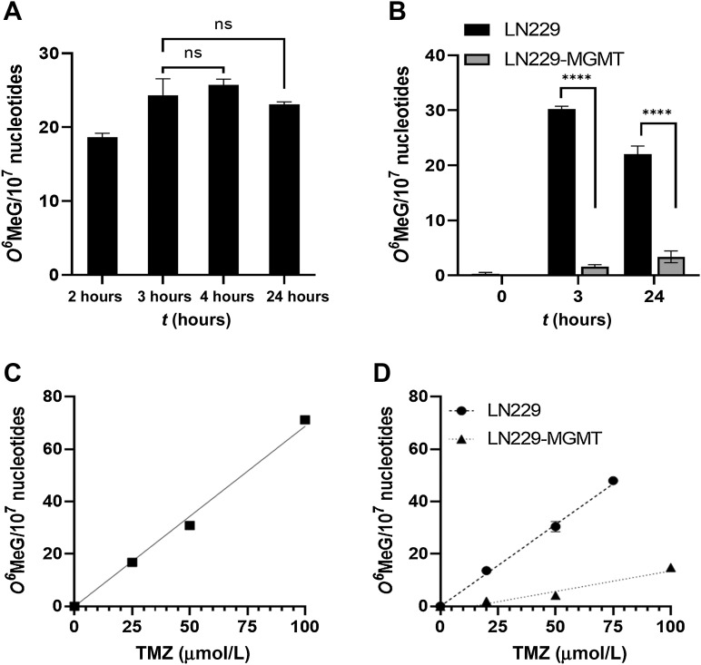 Figure 1. Amount of O6MeG induced in glioblastoma cells (LN229) upon treatment with TMZ. A, Adducts induced after 2, 3, 4, and 24 hours exposure of LN229 cells with 50 μmol/L TMZ. There is no significant difference between the levels. Amount of adducts induced in LN229 and LN229-MGMT cells exposed for 3 and 24 hours to 50 μmol/L TMZ. Data are the mean of three independent determinations ±SEM (P < 0.0001). O6MeG in glioblastoma cells exposed to TMZ for 3 hours in A172 cells (C) and in LN229 and LN229-MGMT cells (D). Data are the mean of three independent determinations ±SEM. A172: y = 0.6873 × x; LN229: y = 0.6239 × x; LN229-MGMT: y = 0.1569 × x − 2.151. ns, not significant.