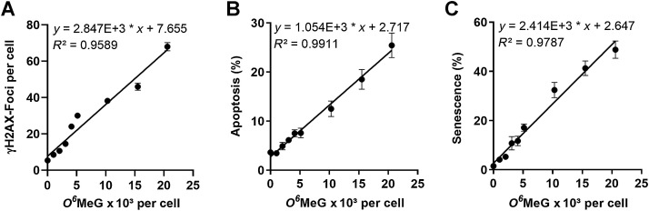 Figure 6. Responses induced in LN229 cells by TMZ in dependence on the amount of O6MeG per cell: γH2AX (A), apoptosis (B), and senescent cells (C) in the population following treatment with increasing concentrations of TMZ. Data are from Fig. 1, ref. 34, and Supplementary Materials and Methods.