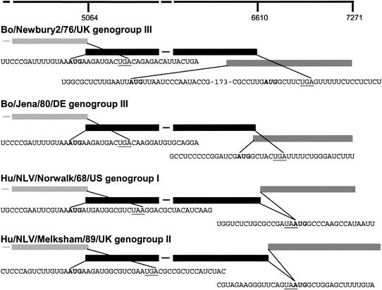 FIG. 2.