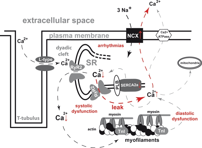 Fig. 2