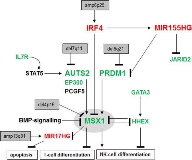 Figure 7