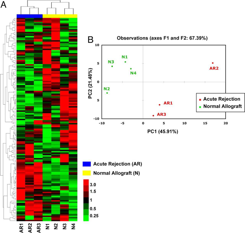 Figure 2: