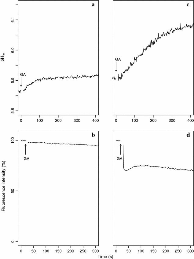 Fig. 2