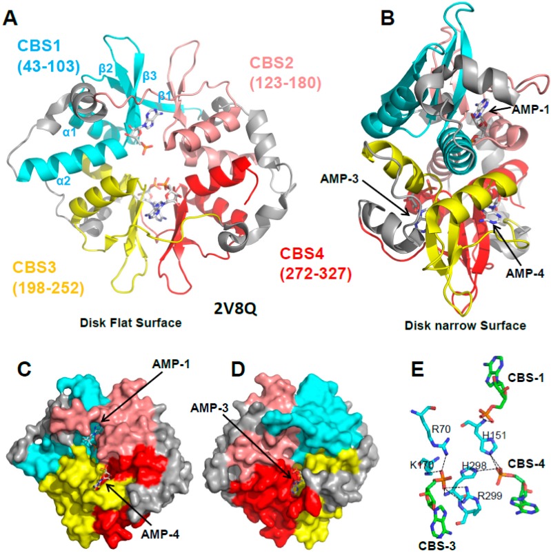 Figure 4