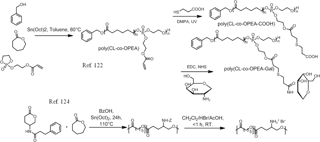 Scheme 7