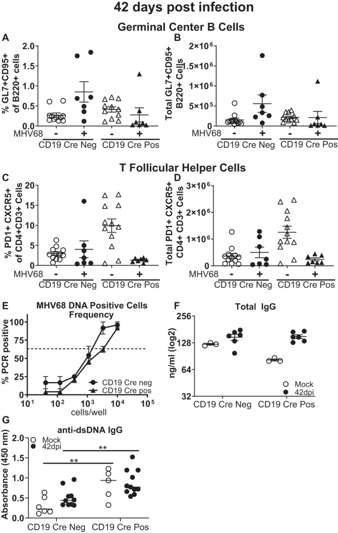 FIG 6