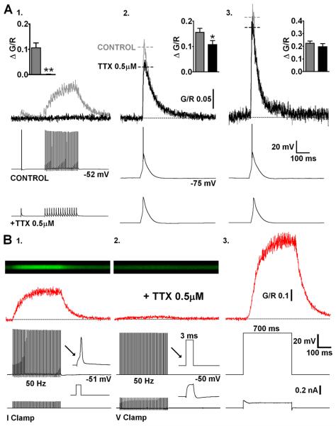 Fig. 3