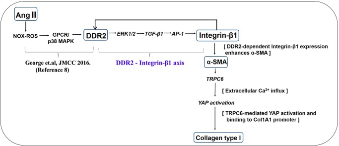 Figure 10.