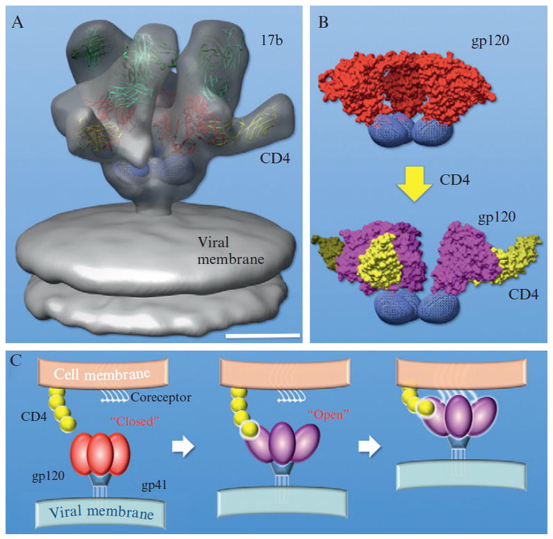 Figure 13.8