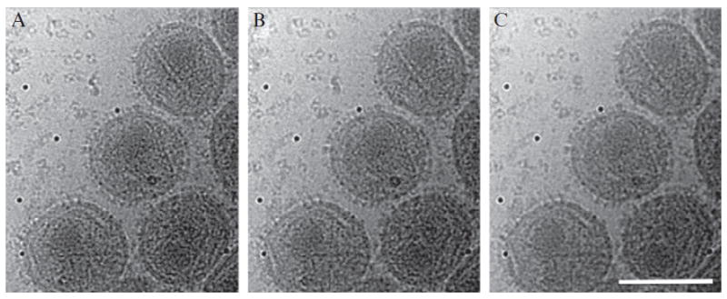 Figure 13.1