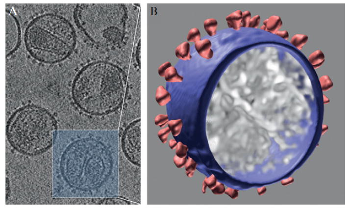 Figure 13.4