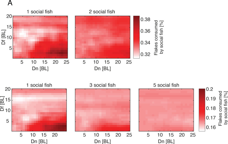 Figure 6—figure supplement 1.