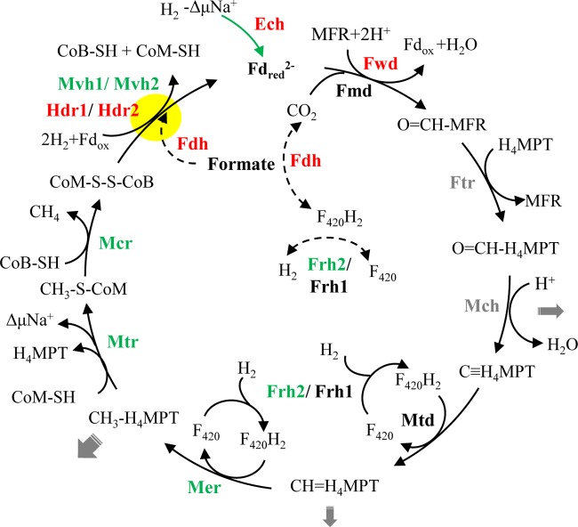 FIG 3