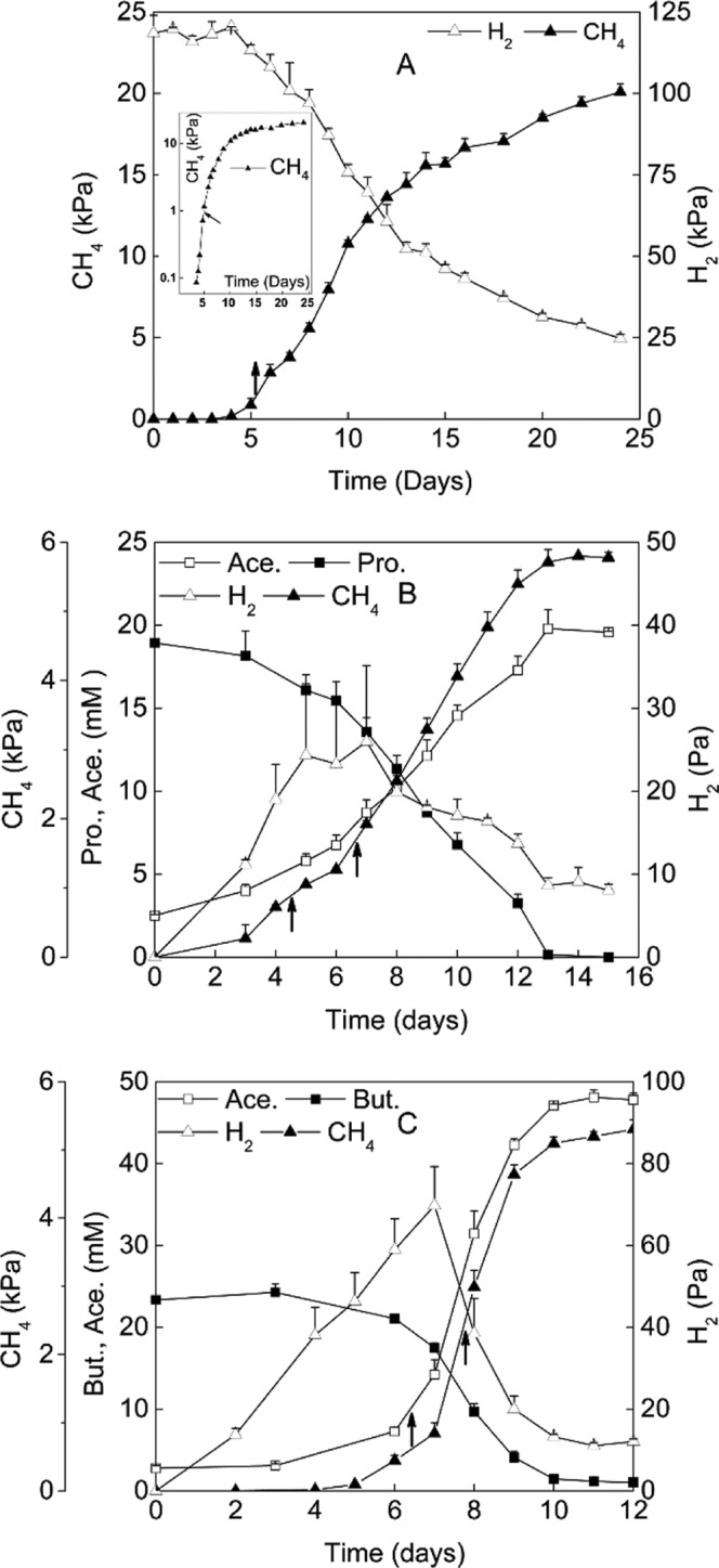 FIG 1