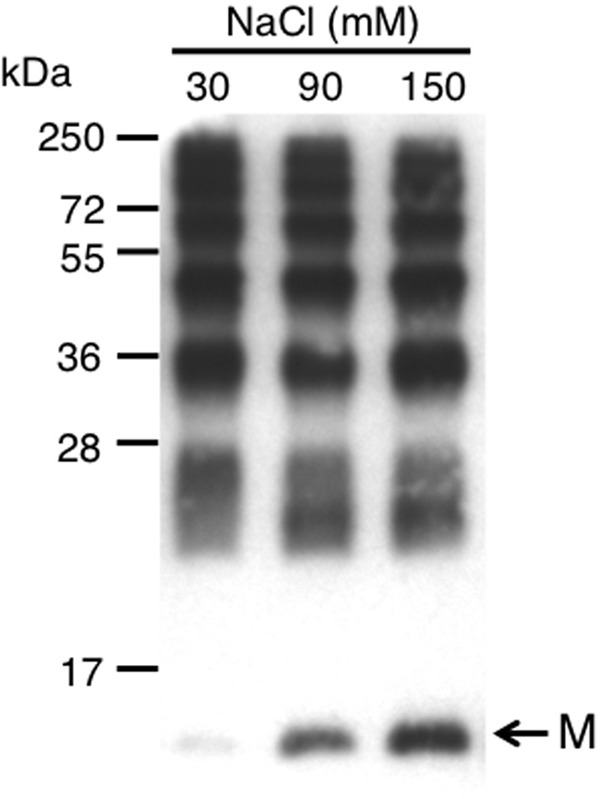 FIGURE 9.