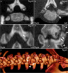 Fig. 3
