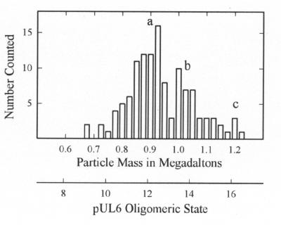 FIG. 7