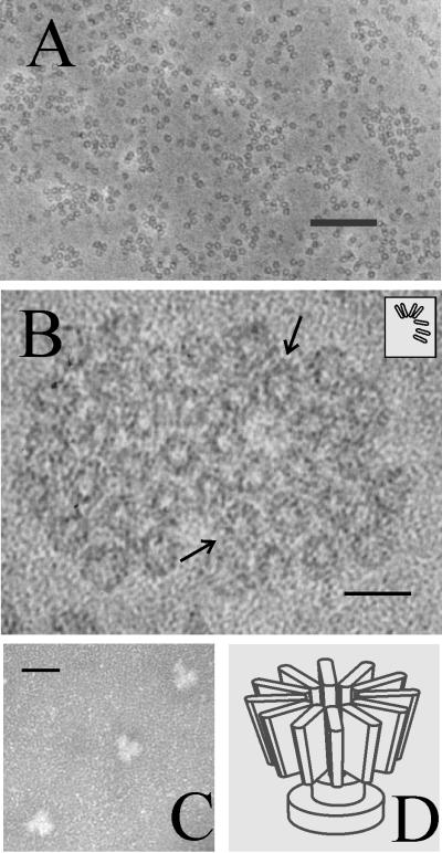 FIG. 5