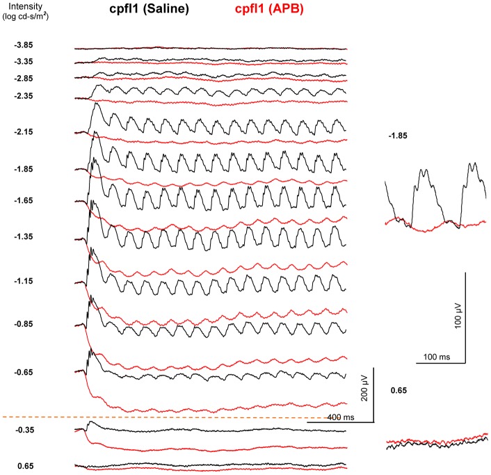 Figure 9