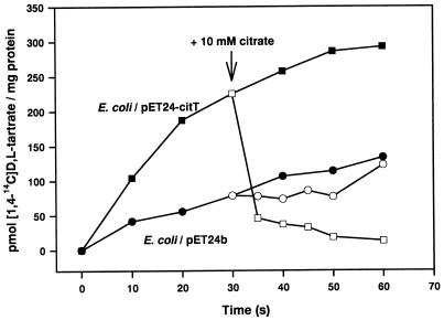 FIG. 6