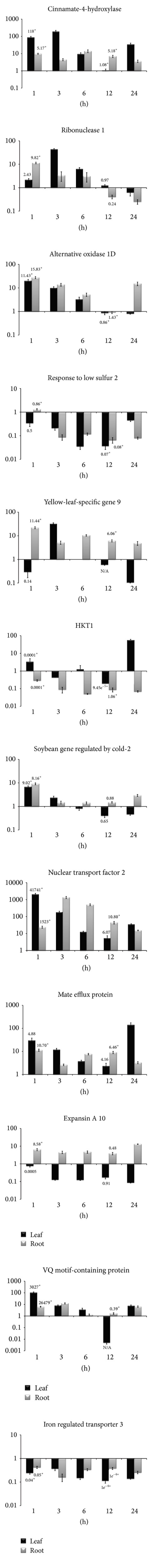 Figure 4